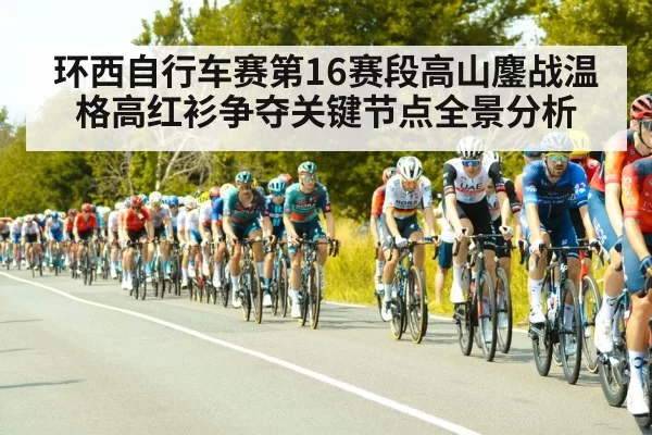 环西自行车赛第16赛段高山鏖战温格高红衫争夺关键节点全景分析