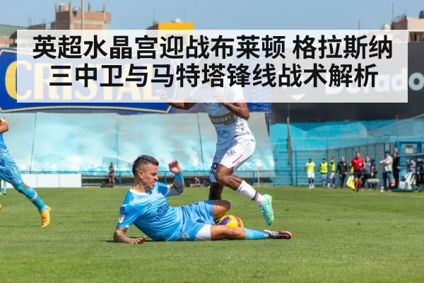 英超水晶宫迎战布莱顿 格拉斯纳三中卫与马特塔锋线战术解析